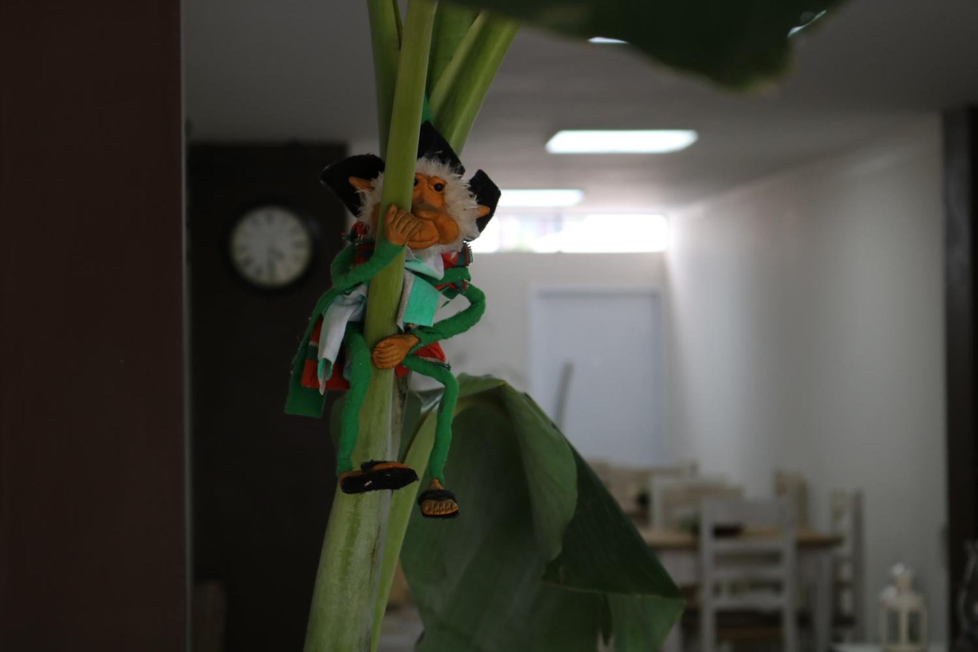 Hotel Quebrachales サンサルバドールデフフイ エクステリア 写真